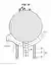 Fig. 62 - Cooking apparatus