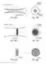 Fig. 24 - SYSTEM AND METHOD FOR GENERATING EXTREME ULTRAVIOLET LIGHT
