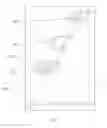 Fig. 10 - Cage assembly for electrical devices