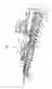 Fig. 02 - Multiple seed-type seed meter