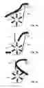 Fig. 02 - Guide mechanism of a harvesting machine