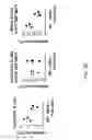 Fig. 17 - Hybrid light chain mice