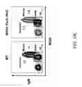 Fig. 20 - Hybrid light chain mice