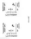 Fig. 21 - Hybrid light chain mice