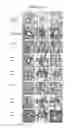 Fig. 13 - Humanized dipeptidyl peptidase IV (DPP4) animals
