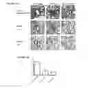 Fig. 17 - Humanized dipeptidyl peptidase IV (DPP4) animals