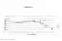 Fig. 19 - Humanized dipeptidyl peptidase IV (DPP4) animals