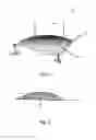Fig. 02 - Material application to fishing lures possessing temperature sensitive chromaticity vicissitude creating a color changing fishing lure or rubber bait