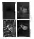 Fig. 06 - Sterilizing agents, their method of manufacture and uses