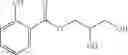 Fig. 09 - Preservative system