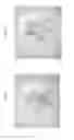 Fig. 03 - Low-concentration phytotoxic micronutrient compounds for selective control of invasive plant species