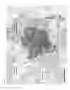 Fig. 15 - Low-concentration phytotoxic micronutrient compounds for selective control of invasive plant species