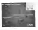 Fig. 01 - ICE-CONTAINING PRODUCTS