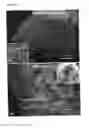Fig. 04 - ICE-CONTAINING PRODUCTS