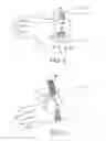 Fig. 04 - Cuff for clothing article