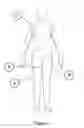 Fig. 02 - Body Conforming Padding
