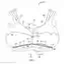 Fig. 06 - Bra assembly