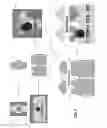 Fig. 08 - Apparatuses and methods of interacting with 2D design documents and 3D models and generating production textures for wrapping artwork around portions of 3D objects