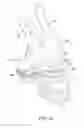 Fig. 08 - Puncture Resistant Workboot