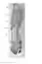 Fig. 06 - Article of Footwear