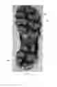 Fig. 14 - Article of Footwear