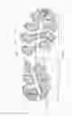 Fig. 15 - Article of Footwear