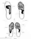 Fig. 08 - Footwear with traction elements