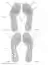 Fig. 31 - Footwear with traction elements