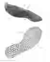 Fig. 37 - Footwear with traction elements