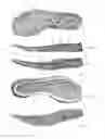 Fig. 47 - Footwear with traction elements