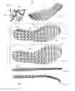 Fig. 49 - Footwear with traction elements