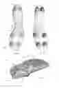 Fig. 55 - Footwear with traction elements