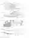 Fig. 57 - Footwear with traction elements