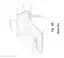 Fig. 04 - In-Shoe Support Device For Heeled Shoes
