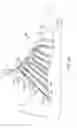 Fig. 14 - Spacer textile material with tensile strands having multiple entry and exit points