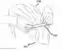 Fig. 01 - Hair Accessory and Method of Styling Hair