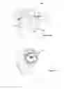 Fig. 10 - Hair Accessory and Method of Styling Hair