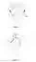 Fig. 15 - Hair Accessory and Method of Styling Hair