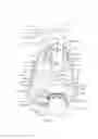 Fig. 20 - Soap dispenser