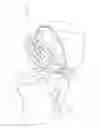 Fig. 01 - Toilet night light