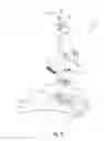 Fig. 14 - Toilet night light
