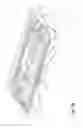 Fig. 32 - Toilet night light