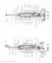 Fig. 03 - Removable tool caddy