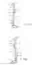 Fig. 06 - Removable tool caddy