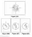 Fig. 03 - Effective acuity and refraction targets