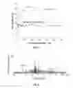 Fig. 06 - Device and method for in vivo noninvasive magnetic manipulation of circulating objects in bioflows