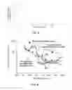 Fig. 08 - Device and method for in vivo noninvasive magnetic manipulation of circulating objects in bioflows