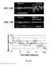 Fig. 12 - Device and method for in vivo noninvasive magnetic manipulation of circulating objects in bioflows