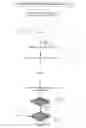 Fig. 24 - EFFECTIVE CPR PROCEDURE WITH REAL TIME EVALUATION AND FEEDBACK USING SMARTPHONES