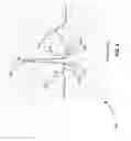 Fig. 03 - Systems and methods for cardiomyocyte conduction speed mapping